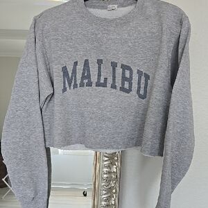 Brandy Melville Gray Crew Neck Sweater with Malibu Vibe